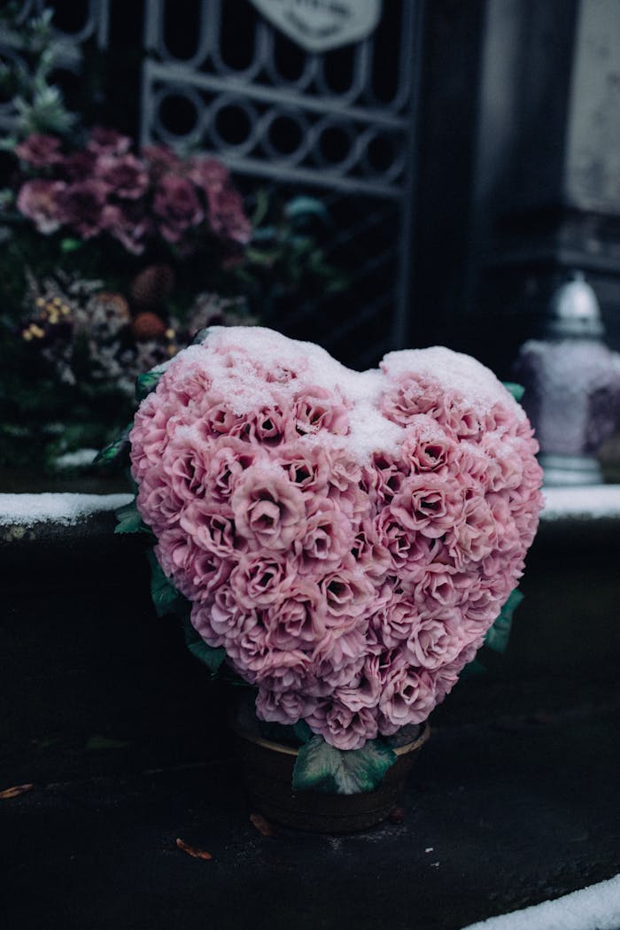 Heart-shaped arrangement of pink roses with snow, placed in a serene cemetery.